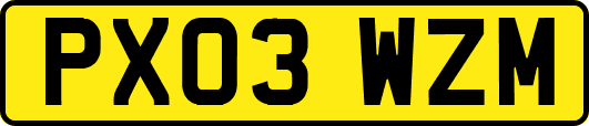 PX03WZM