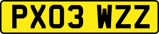 PX03WZZ