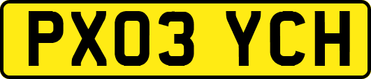 PX03YCH