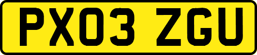 PX03ZGU