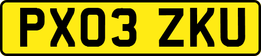 PX03ZKU