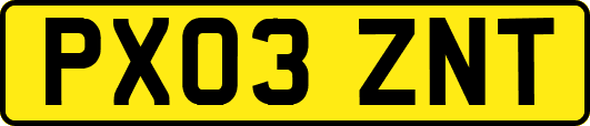 PX03ZNT