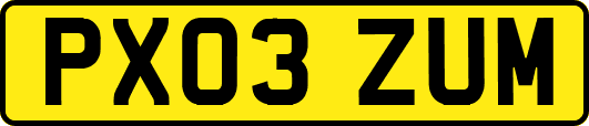 PX03ZUM