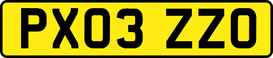 PX03ZZO