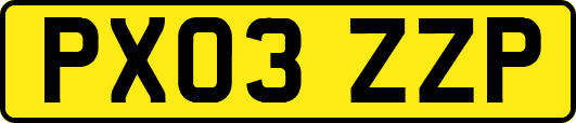 PX03ZZP