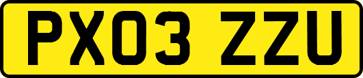 PX03ZZU