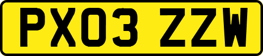 PX03ZZW