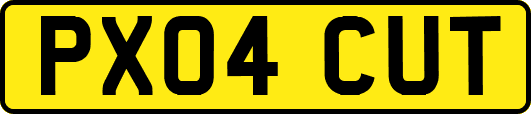 PX04CUT