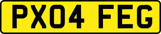PX04FEG