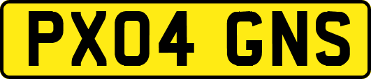 PX04GNS