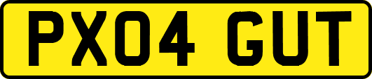 PX04GUT