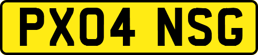 PX04NSG