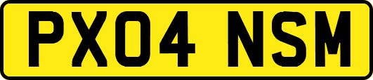 PX04NSM