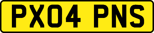 PX04PNS