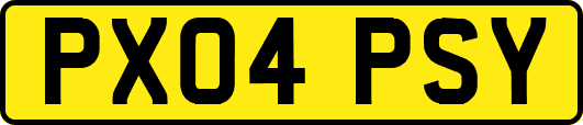PX04PSY