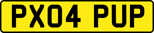 PX04PUP
