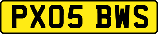 PX05BWS