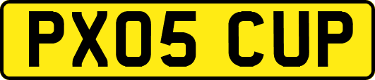 PX05CUP