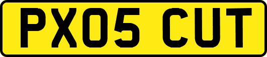 PX05CUT