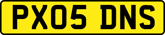 PX05DNS