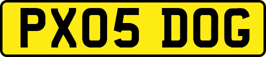 PX05DOG
