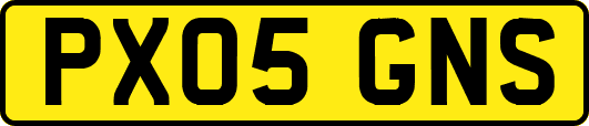 PX05GNS