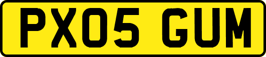 PX05GUM