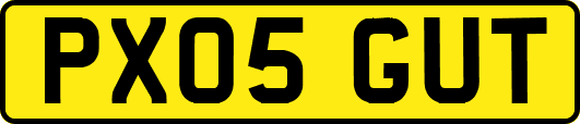 PX05GUT