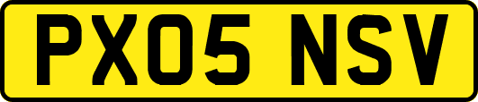 PX05NSV