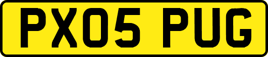 PX05PUG