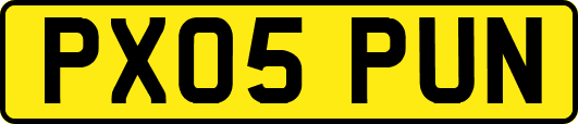 PX05PUN