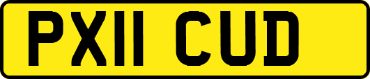 PX11CUD