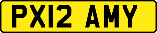 PX12AMY