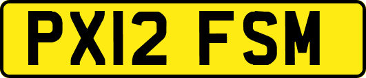 PX12FSM