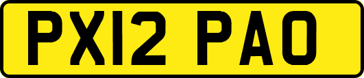 PX12PAO