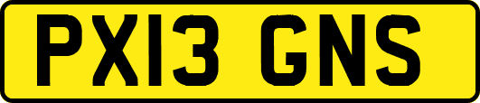 PX13GNS