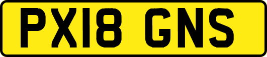 PX18GNS