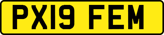 PX19FEM