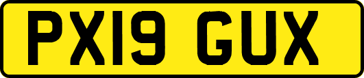 PX19GUX