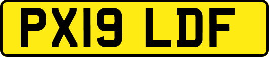 PX19LDF