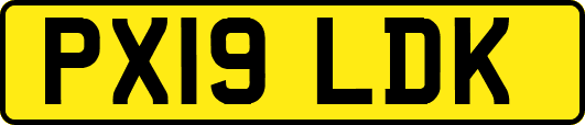 PX19LDK