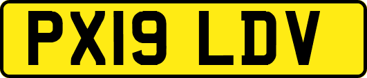 PX19LDV