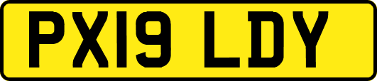 PX19LDY