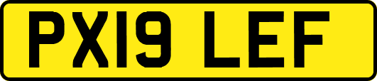 PX19LEF