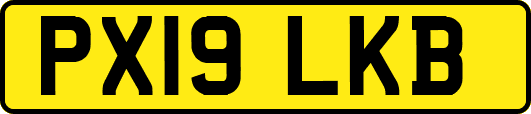 PX19LKB