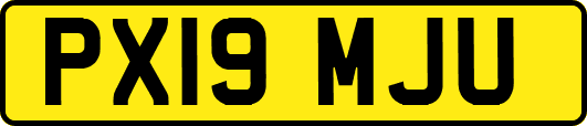 PX19MJU