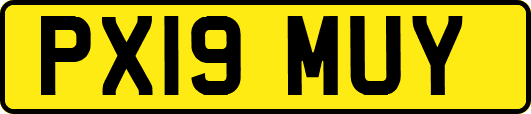 PX19MUY