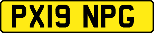 PX19NPG