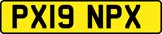 PX19NPX