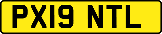 PX19NTL